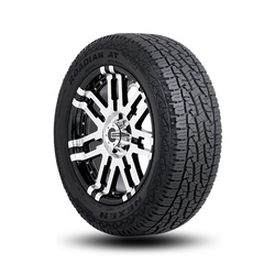16049NXK Nexen Roadian AT Pro RA8 P255/70R17 110S WL Tires